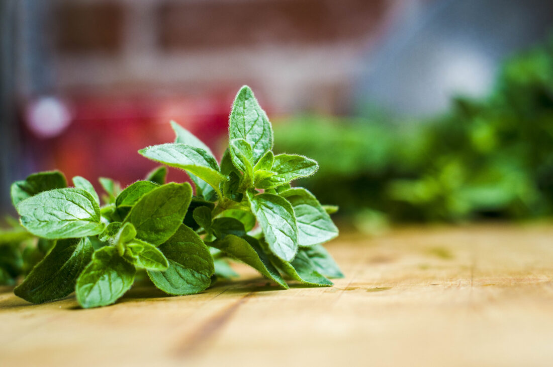 Backyard Gardener Basil the royal herb used as a symbol of love